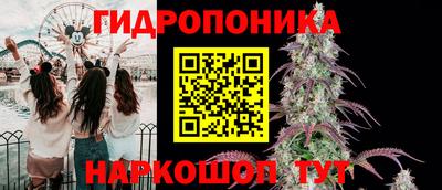 меф Кимры