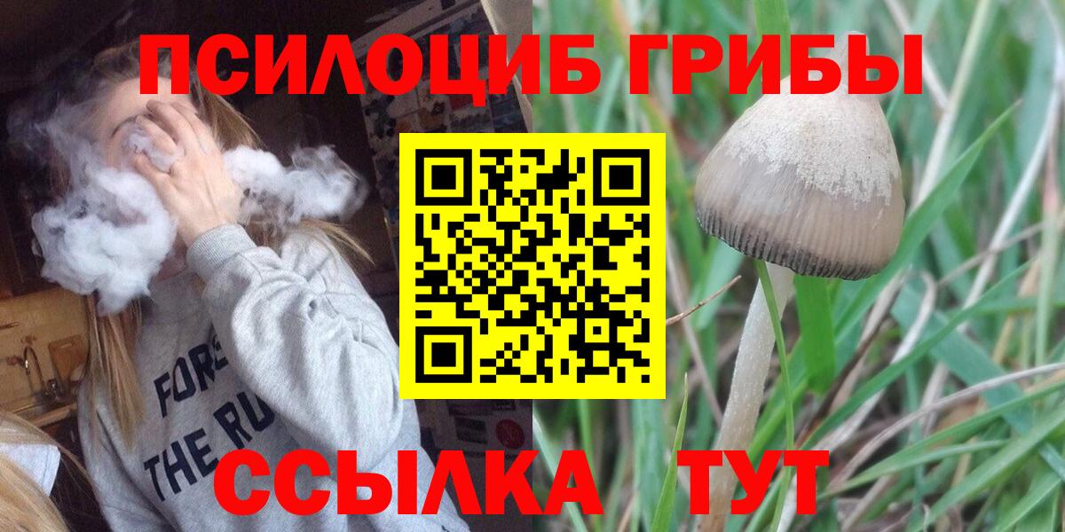 Галлюциногенные грибы Cubensis Куйбышев