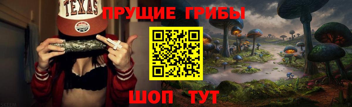 Куйбышев  Псилоцибиновые грибы Psilocybine cubensis  Вход с VPN 